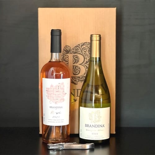 Rosé e Sauvignon Blanc