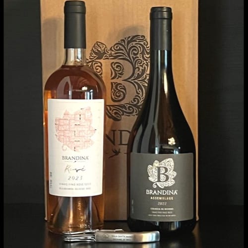 Rosé e Vinho Tinto 2022
