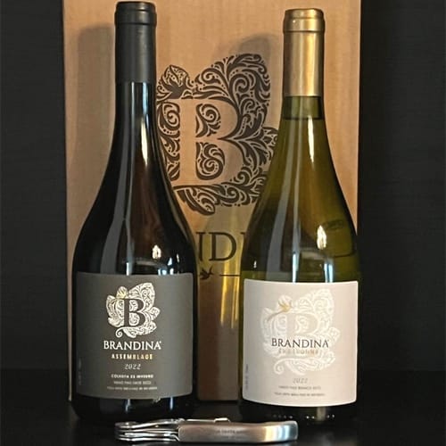 Vinho Tinto 2022 e Chardonnay