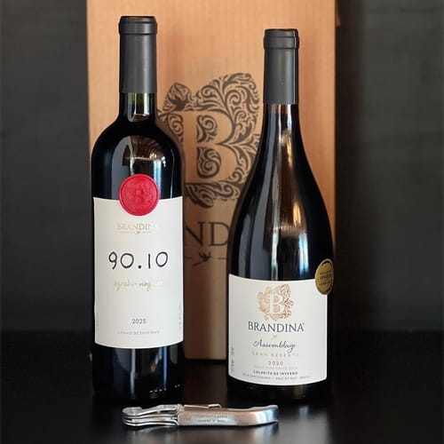 Vinho Tinto 90.10 e Gran Reserva