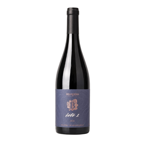 BRANDINA LOTE 1 – 2025